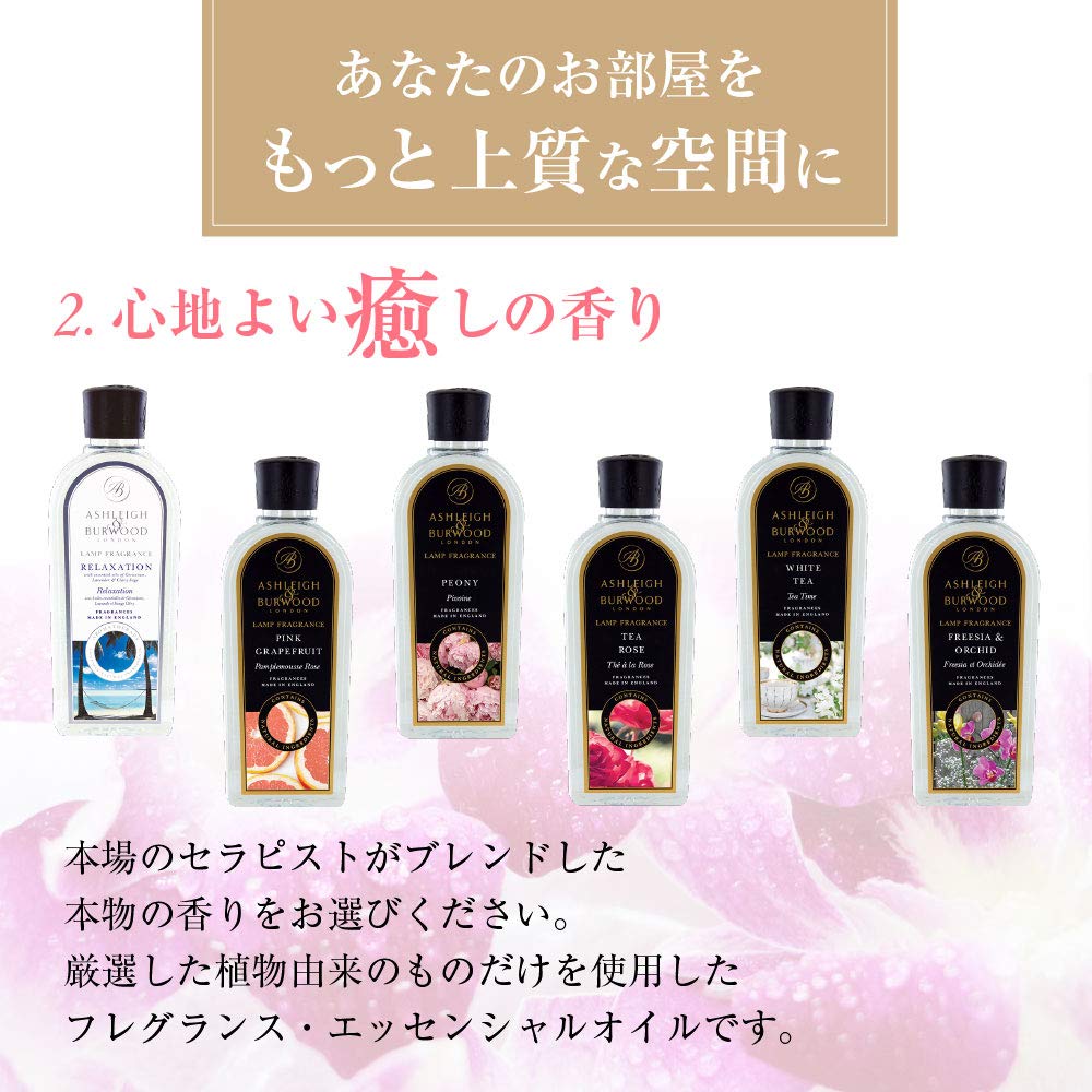 Amazon.co.jp: アシュレイ&バーウッド AshSeigh&Burwood